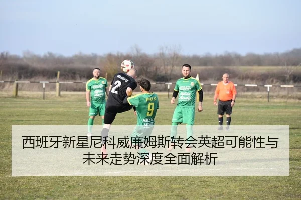 西班牙新星尼科威廉姆斯转会英超可能性与未来走势深度全面解析
